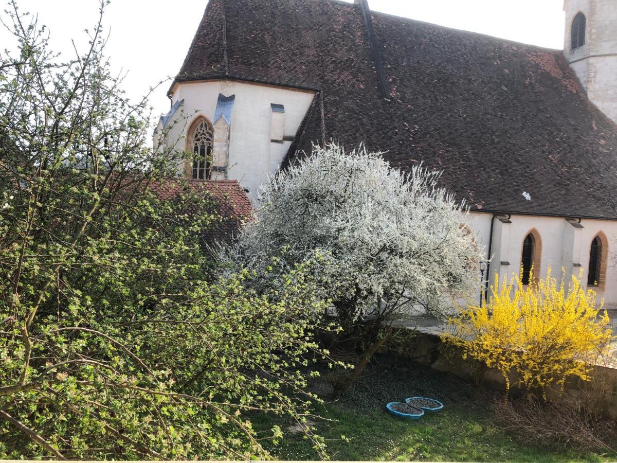 Altstadt-Apartments Bad Radkersburg - Ihr Zuhause Auf Reisen Bagian luar foto